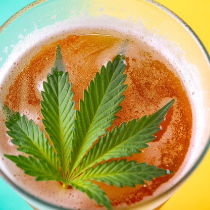 THC drinks are superior to beer