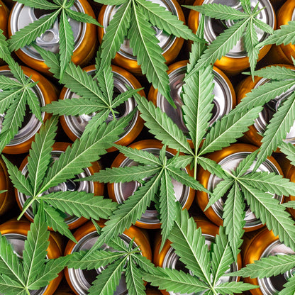 Best THC drink — Sip